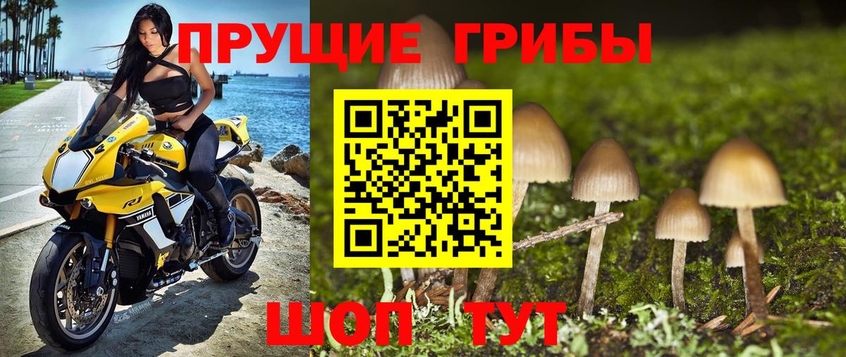 Мыски  Галлюциногенные грибы мицелий  Вход с VPN  Галлюциногенные грибы Psilocybine cubensis 