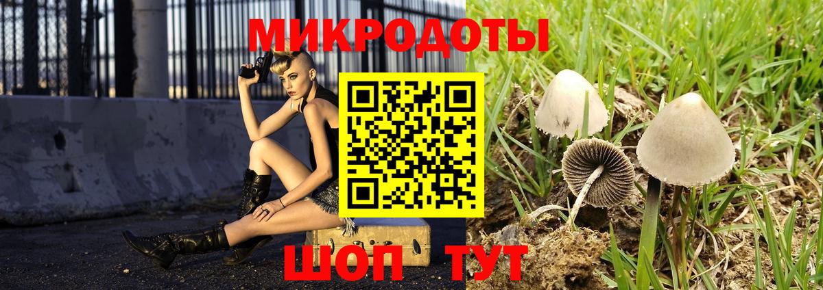 Галлюциногенные грибы Cubensis Мыски